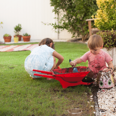 Two toddlers working with a wheelbarrow and planting