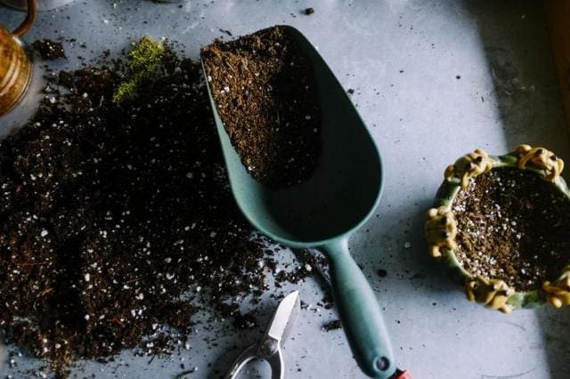 Garden scoop with loose potting soil