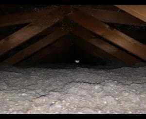 Loose fill, cellulose insulation in an attic