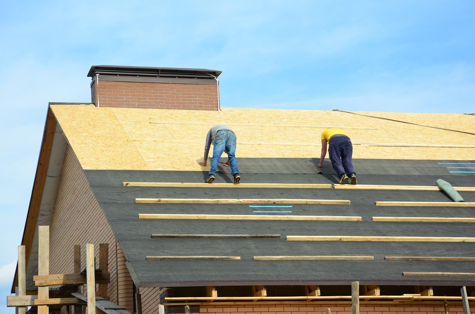 Asphalt Roofing Shingles. Building Contractors 