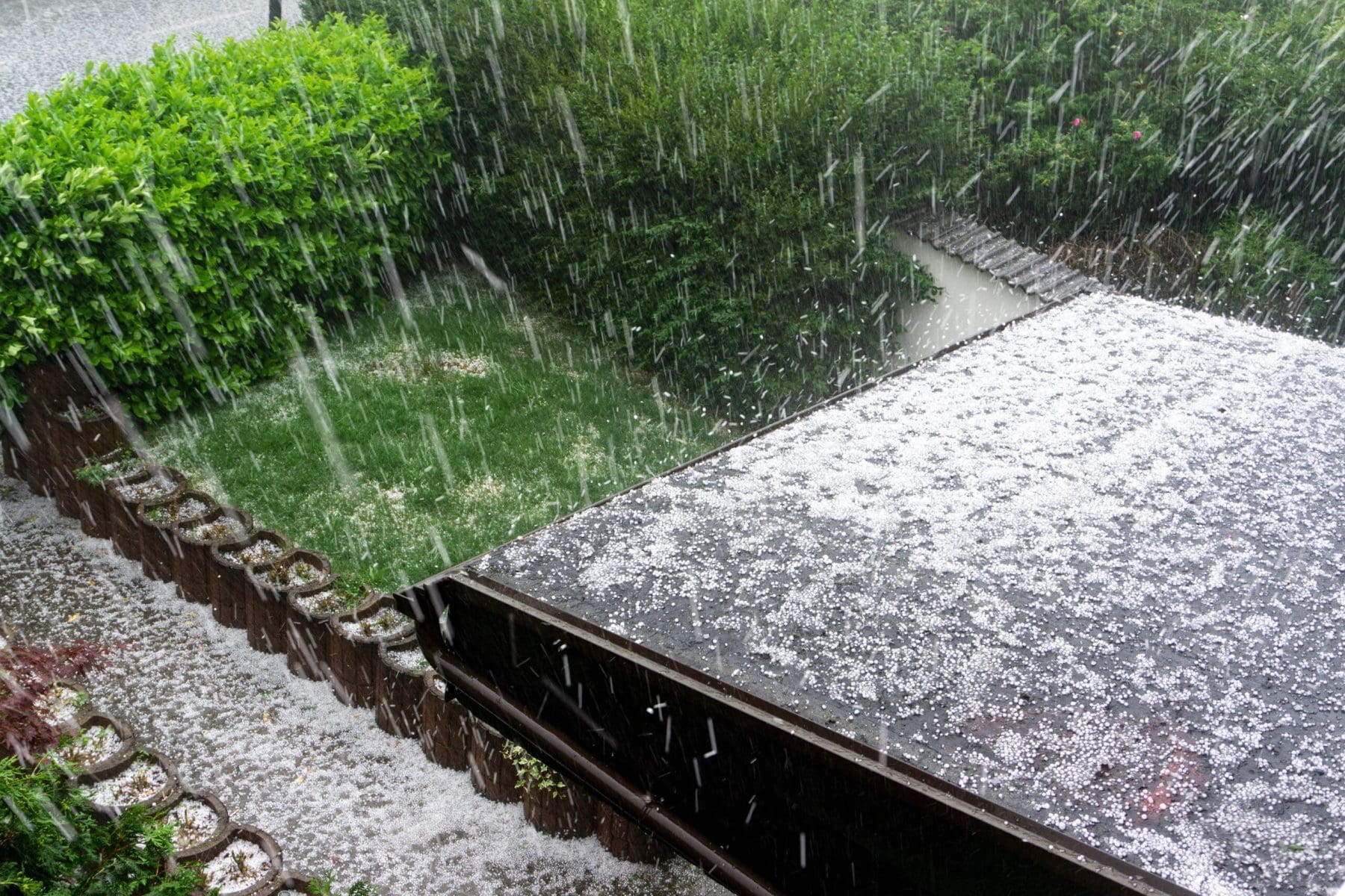 Read more about the article What Should I Do If Hail Has Damaged My Roof and Gutters?