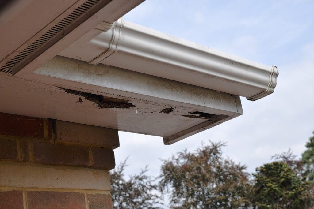 gutter sagging