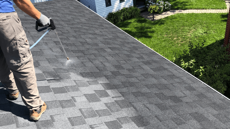 person on roof spraying gonano spray